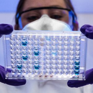 ELISA test on 96 well plate