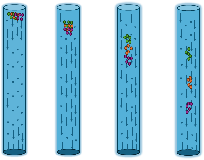 rozdział chromatograficzny