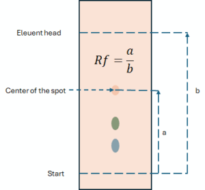 Rf calculation in TLC chromatogram