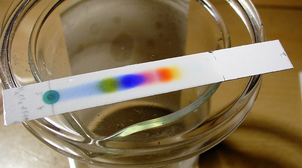 Thin Layer Chromatography (TLC)