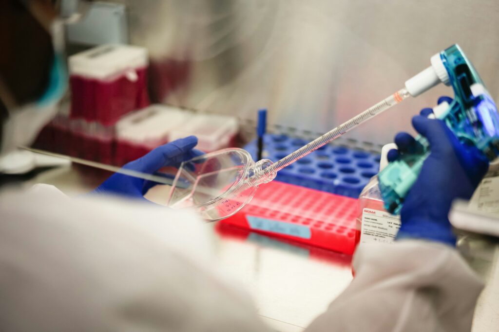 Hodowla in vitro w komorze laminarnej