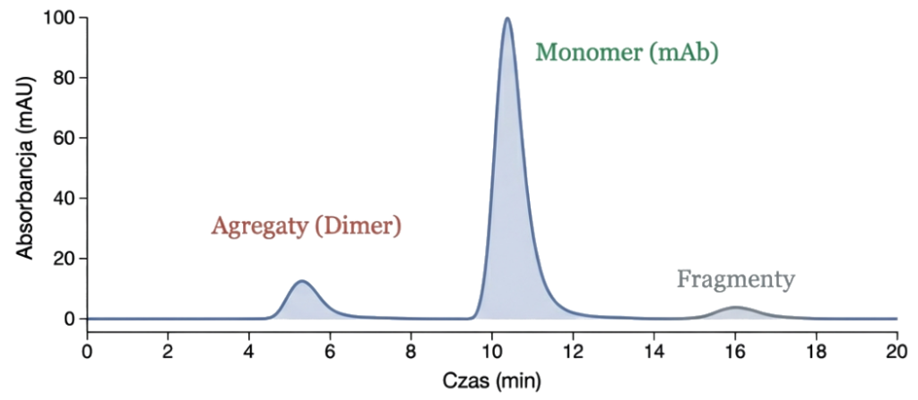 Przykładowy chromatogram SEC rozdziału przeciwciał monoklonalnych