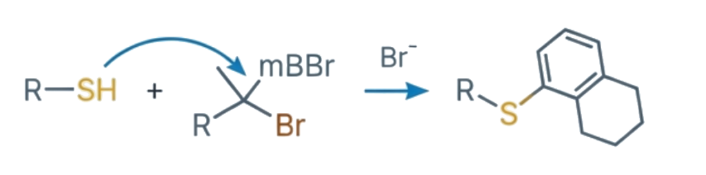 derywatyzacja: resty tiolowe