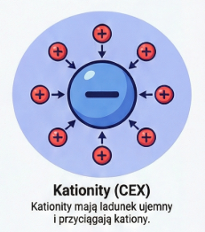 kationity (CEX)