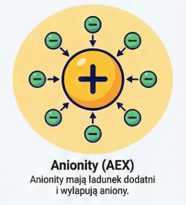 Anionity (AEX) w chromatografii jonowymiennej