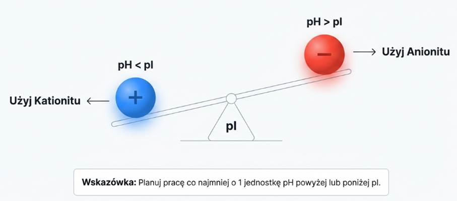Wybór kolumny w chromatografii jonowymiennej