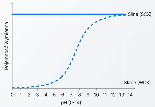 Słabe (WCX) i silne (SCX) kationity w chromatografii jonowymiennej