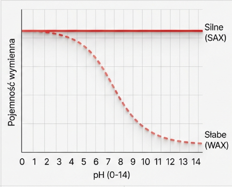 Silne (SAX) i słabe (WAX) anionity