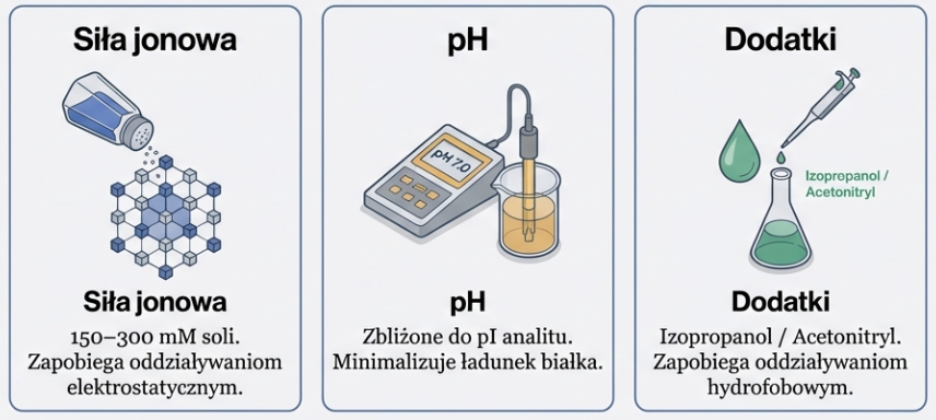 Optymalizacja fazy ruchomej w chromatografii wykluczenia mas (SEC)