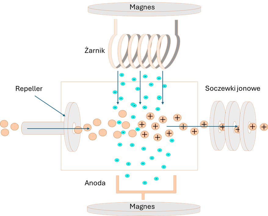 Budowa źródła jonów EI (electron ionization)