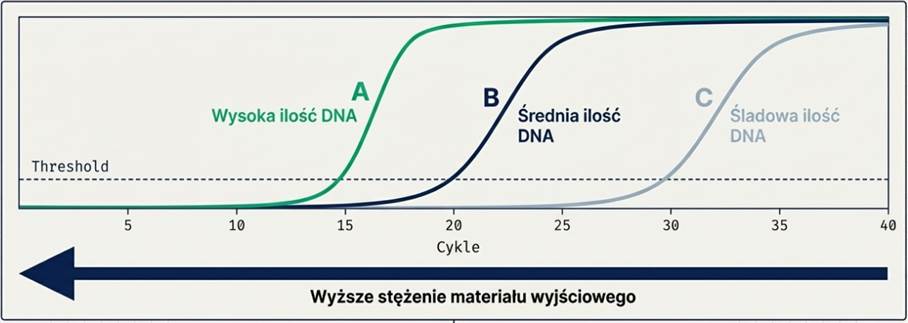 Oznaczenie ilościowe w QPCR