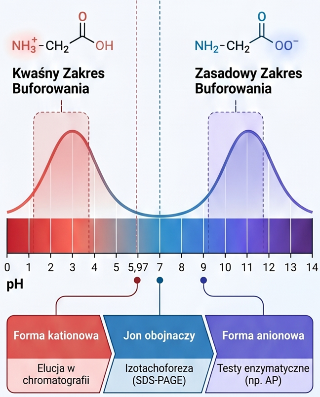 zakres buforowania buforu glicynowego